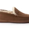 Warmbat - Grizzly - GRZ 441025 23 - Cognac